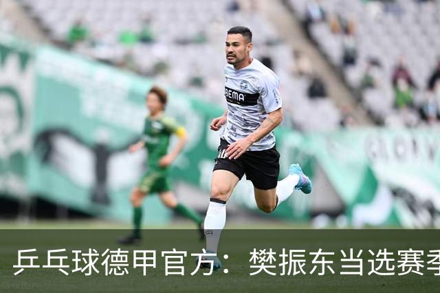 乒乓球德甲官方：樊振东当选赛季最佳 助队荣膺三冠王